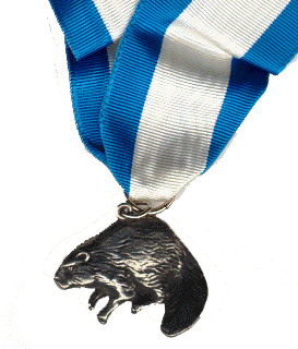 Silver Beaver Award